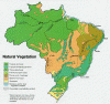 Fisica Vegeracion Mapa Brasil